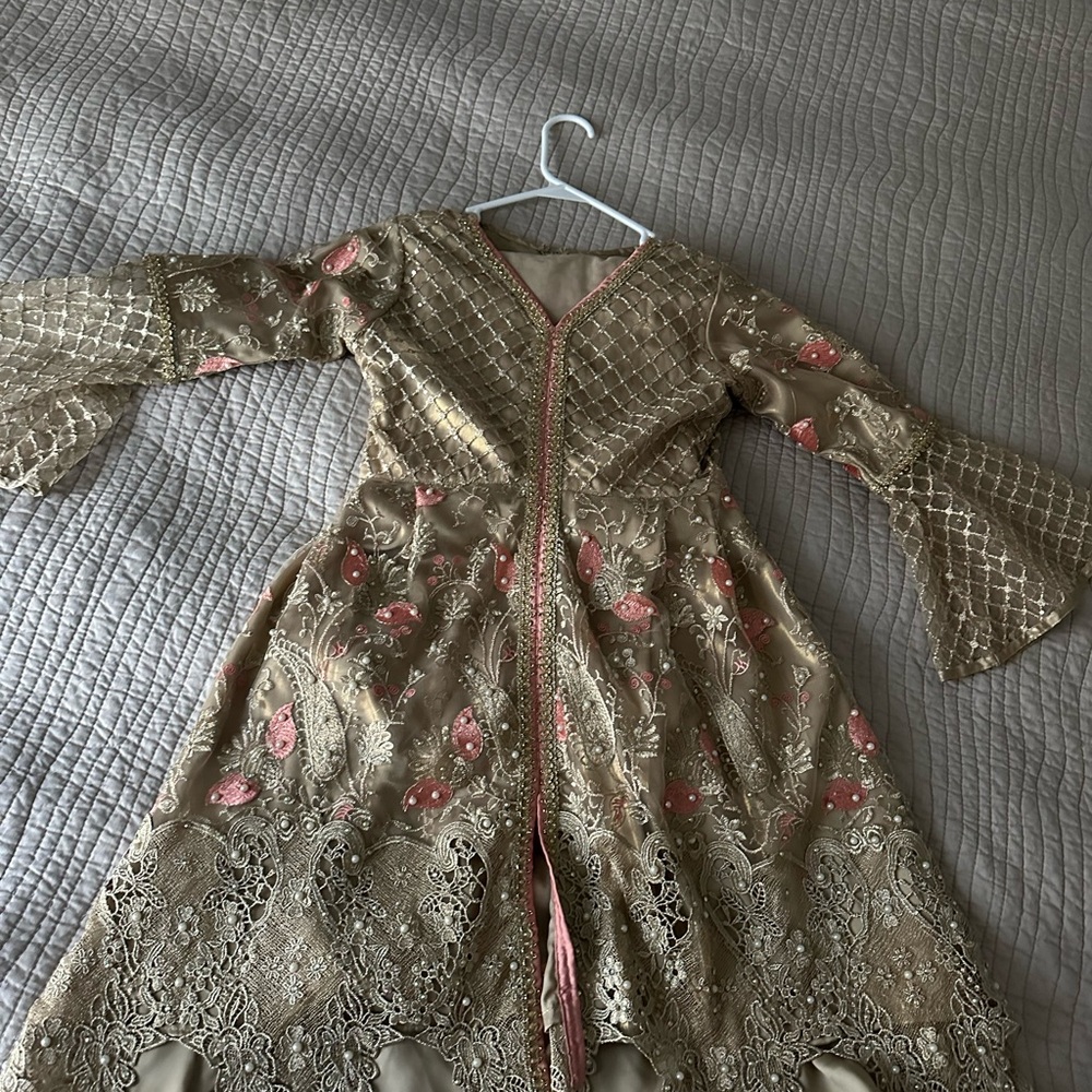 Pakistani Indian embroidered outfit